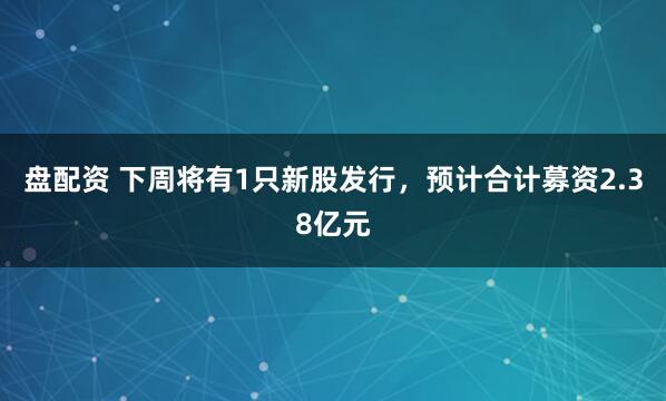 盘配资 下周将有1只新股发行，预计合计募资2.38亿元