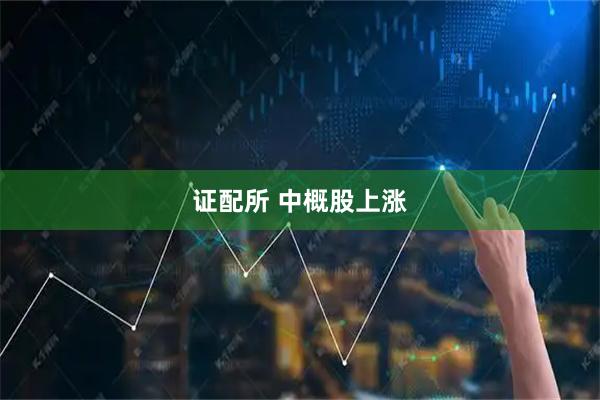 证配所 中概股上涨
