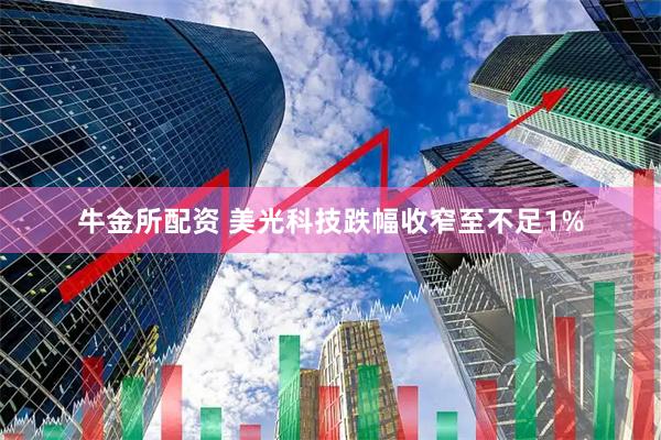 牛金所配资 美光科技跌幅收窄至不足1%