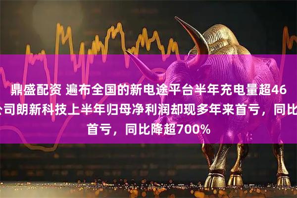 鼎盛配资 遍布全国的新电途平台半年充电量超46亿度！母公司朗新科技上半年归母净利润却现多年来首亏，同比降超700%